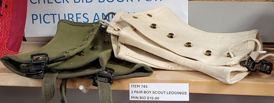 Boy Scout leggings